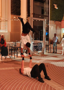 Palm Tree Show