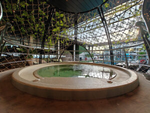 Botanic Garden Pool