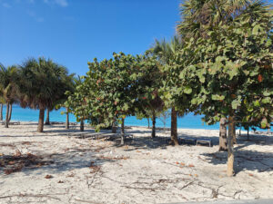 Sunset Beach