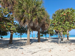 Sunset Beach