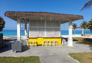 Pineapple Bar
