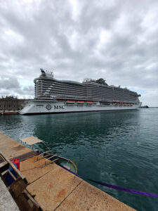 MSC Seaview