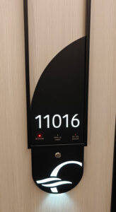 Penthouse Suite 11016