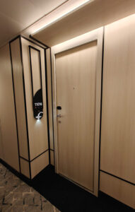 Penthouse Suite 11016