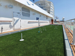 Bocce / Croquet