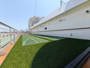 Shuffleboard