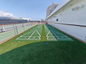 Shuffleboard