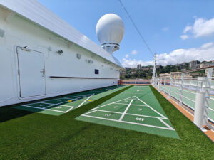 Shuffleboard
