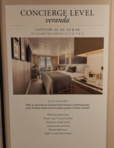 Concierge Level Veranda 10026