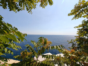 Buza Bar