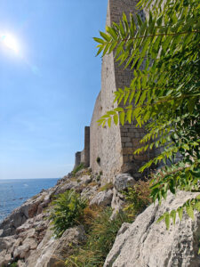 Blick zur Stadtmauer