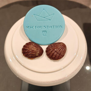 MSC Foundation