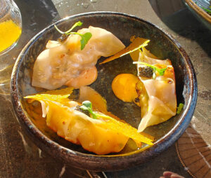Gyoza