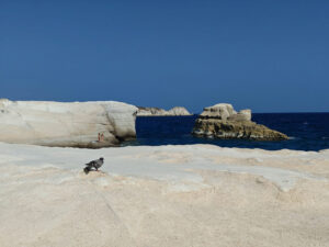 Sarakiniko