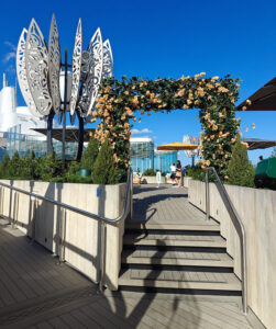 Rooftop Garden
