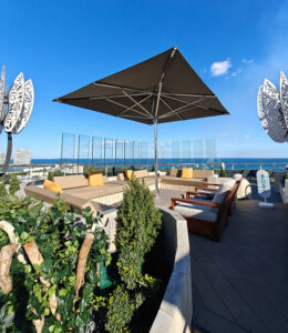 Rooftop Garden