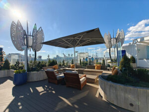Rooftop Garden