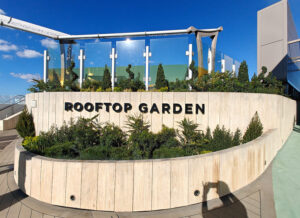 Rooftop Garden