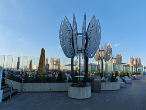 Rooftop Garden