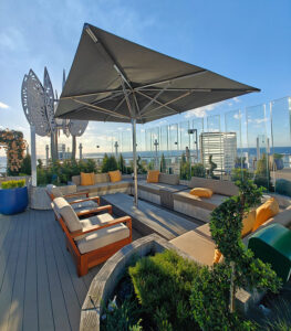 Rooftop Garden