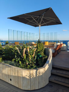 Rooftop Garden
