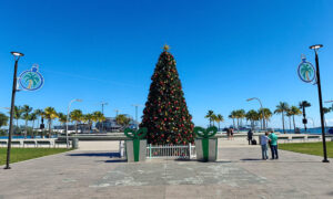 Christmas in Miami