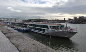 Amadeus Queen