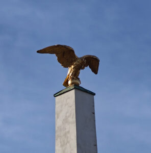 goldener Adler
