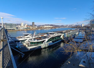 MS Joy in Linz