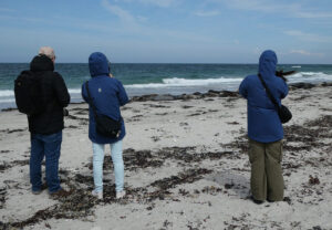 Nordstrand