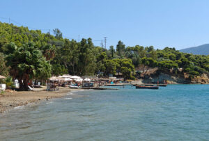 Thala Beach Bar