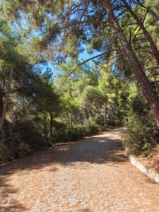 Weg auf den Berg