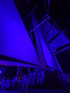 White Night Musik- und Lichtshow