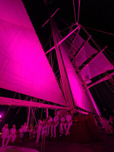 White Night Musik- und Lichtshow