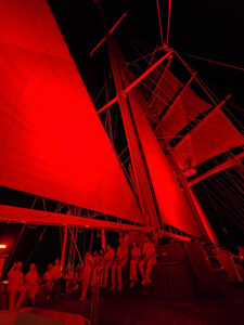 White Night Musik- und Lichtshow