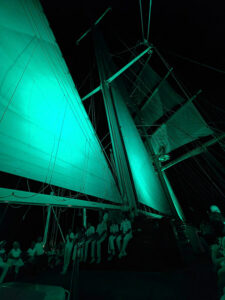White Night Musik- und Lichtshow