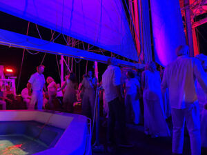 White Night Musik- und Lichtshow