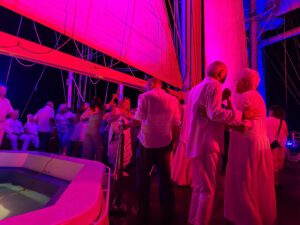 White Night Musik- und Lichtshow