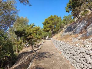 Weg im Park